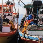 protocolos para caletas de pescadores